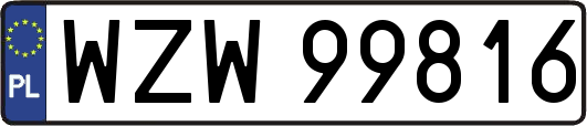 WZW99816