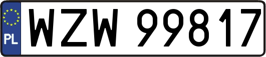 WZW99817