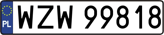 WZW99818