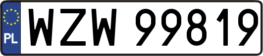 WZW99819