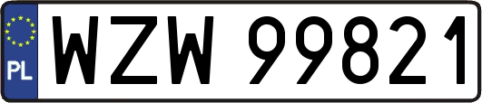 WZW99821