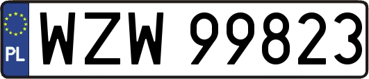 WZW99823
