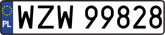 WZW99828