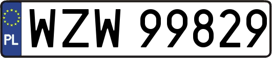 WZW99829