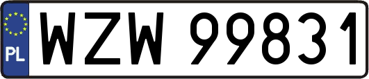 WZW99831