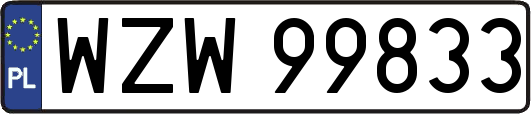 WZW99833