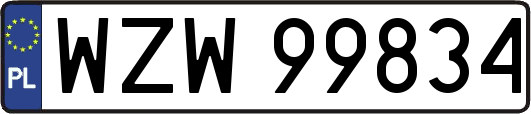 WZW99834