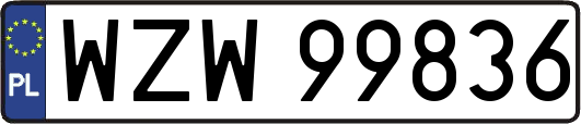 WZW99836