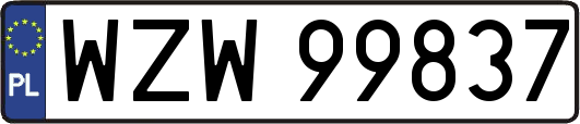WZW99837
