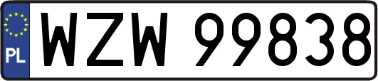 WZW99838