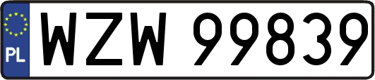 WZW99839