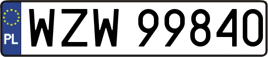 WZW99840