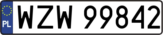 WZW99842