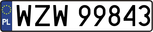 WZW99843