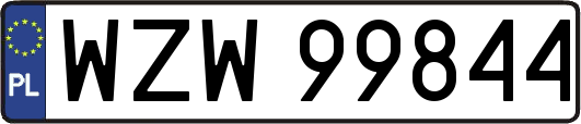 WZW99844