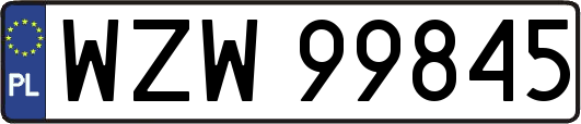 WZW99845