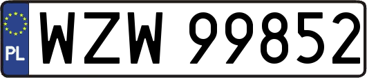 WZW99852