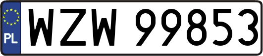 WZW99853