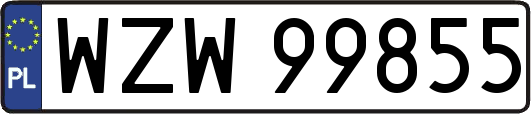 WZW99855