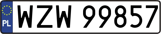 WZW99857
