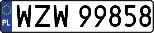 WZW99858