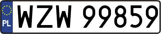 WZW99859