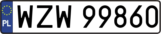 WZW99860