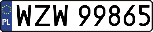 WZW99865