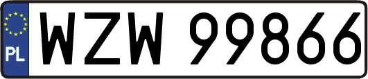 WZW99866