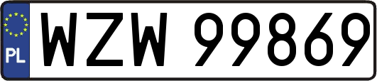 WZW99869