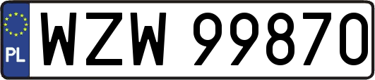 WZW99870