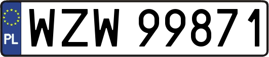 WZW99871