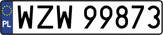 WZW99873