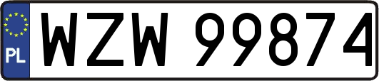 WZW99874