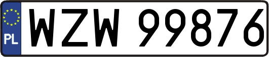 WZW99876