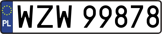 WZW99878