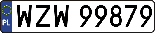 WZW99879