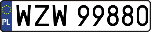 WZW99880