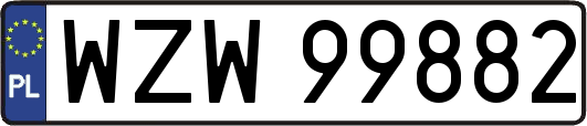 WZW99882