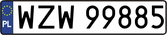 WZW99885