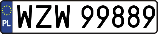 WZW99889