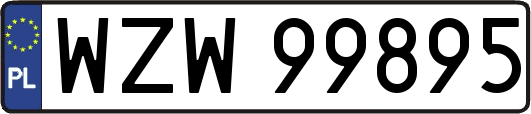 WZW99895