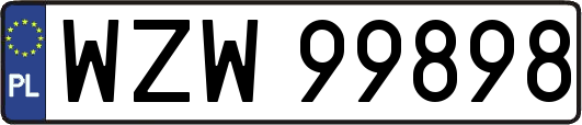 WZW99898