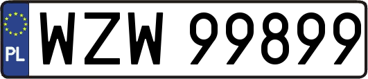 WZW99899