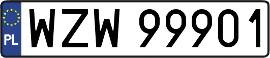 WZW99901