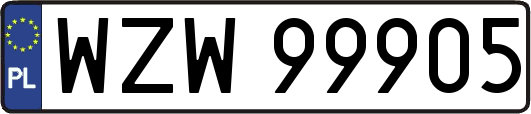 WZW99905