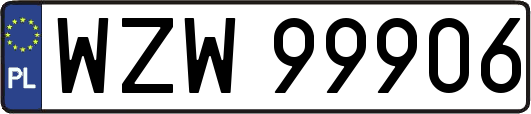 WZW99906