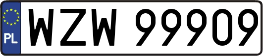 WZW99909