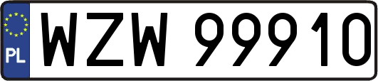 WZW99910