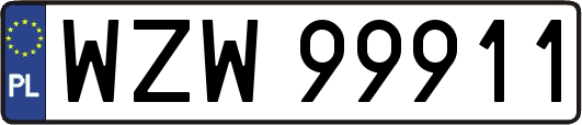 WZW99911